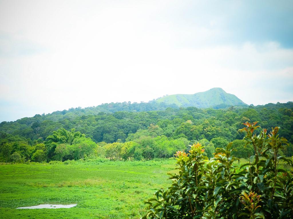 Kerala House Apartment Thekkady Luaran gambar